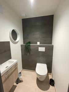 ein Badezimmer mit einem weißen WC und einem Waschbecken in der Unterkunft Chez Gigi et Malou - gîte Brimbelle in Champ-le-Duc