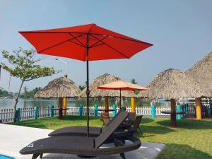 - un groupe de chaises longues et de parasols à côté de la piscine dans l'établissement Hotel La Cueva del Pirata, à Casitas