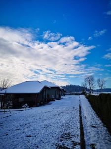 Príroda v okolí dovolenkového domu