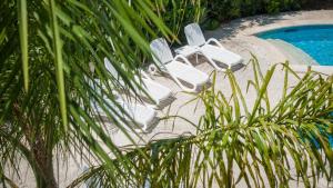 dos sillas blancas sentadas junto a una piscina en Boutique Villa Magnolia Luxury Suites, en Nardò
