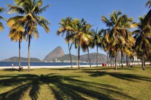 un grupo de palmeras en una playa con una montaña en Solar do Flamengo 3min Aterro/praia 250 m do metrô, en Río de Janeiro