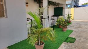 Weltons Apartments في إيكيجا: مجموعة من النباتات الفخارية على العشب في ساحة الفناء
