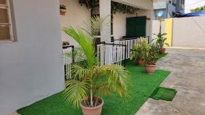 un gruppo di piante in vaso sull'erba in un cortile di Weltons Apartments a Ikeja