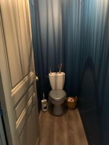 a bathroom with a toilet in a blue room at Vue cité de Carcassonne in Carcassonne