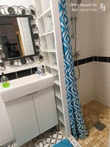 a bathroom with a sink and a mirror at Appartement avec Terrasse in Blois +24 photos