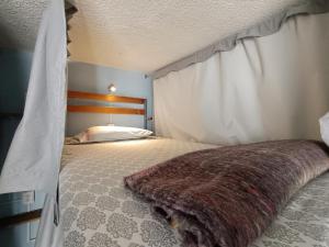ケレタロにあるMonkey Safari Hostelのベッドルーム(天蓋付きベッド、毛布付)