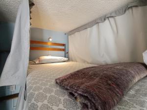 una camera con letto a baldacchino e coperta di Monkey Safari Hostel a Querétaro