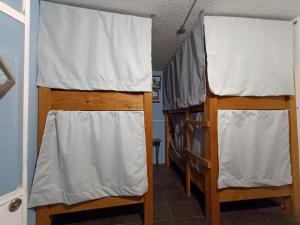 Letto o letti in una camera di Monkey Safari Hostel