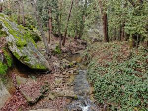 Gallery image of Exquisite Log Cabin in the Pines and Very Private in Sonora