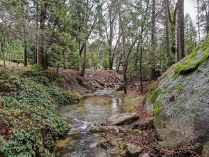 Gallery image of Exquisite Log Cabin in the Pines and Very Private in Sonora