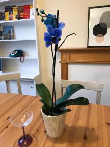 a blue flower in a vase on a table at Knightsbridge House Apartment in London