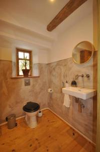 La salle de bains est pourvue de toilettes, d'un lavabo et d'un miroir. dans l'établissement Erlebnishof Bauernhof Ferienhaus, 