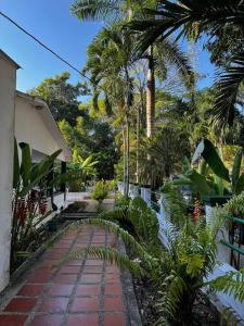 a garden with a brick walkway and palm trees at Casa finca Santiago Tolú 