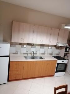 a kitchen with wooden cabinets and a sink and a refrigerator at ANIA'S APARTMENT ( ΣΤΟ ΚΕΝΤΡΟ ΤΗΣ ΚΟΖΑΝΗΣ ) in Kozani