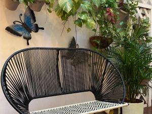 una sedia nera seduta in una stanza con piante di Casa Zaguan a Cartagena de Indias