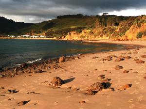 a beach with rocks on the sand and the water at The Sands Hotel Hokianga in Opononi +36 photos
