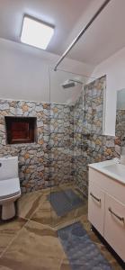 a bathroom with a shower with a stone wall at Pensiunea Codrea - Wagner in Lazu Baciului +71 photos