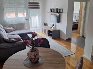 Televízia a/alebo spoločenská miestnosť v ubytovaní Apartman Pepper