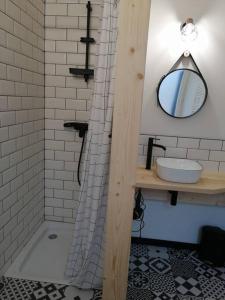 y baño con ducha, lavabo y espejo. en Studio aux Granges du Vilaret, en Clairvaux-les-Lacs