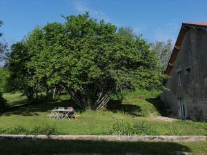 una mesa de picnic bajo un árbol al lado de un edificio en Studio aux Granges du Vilaret, en Clairvaux-les-Lacs
