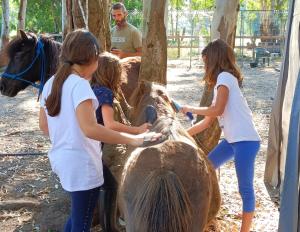 two girls are petting a horse in a zoo at L'oasi del relax Arborea in Arborea