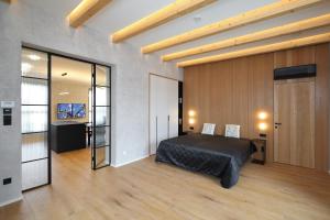 1 dormitorio con 1 cama y TV en Apartmány Vila Terasy en Liberec