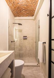 a bathroom with a shower and a toilet at HOLT Hotel del Pueblito in San Miguel de Allende