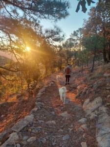 una persona paseando a un perro por un sendero rocoso en Hostal Font´s en Areponapuchi