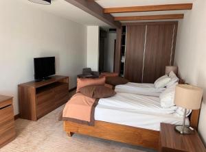 - une chambre avec un grand lit et une télévision dans l'établissement Apartment B327 Aparthotel Vucko, à Jahorina