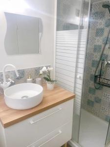 a bathroom with a white sink and a shower at Duplex Atypique Paris 13 Station F Bercy in Paris
