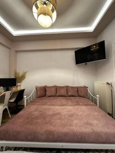 TV a/nebo společenská místnost v ubytování Tiny Nest Sindos