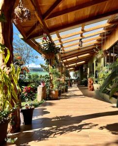 a covered walkway with potted plants on it at Casa Haydee Monteverde in Monteverde Costa Rica