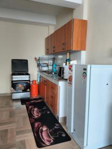 a kitchen with a refrigerator and a kitchen rug on the floor at Cosy Studio Apartment in Nakuru.Lift.Wifi.Ample Parking in Nakuru