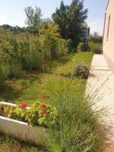 einen Garten mit roten Blumen in einem Betonpflanzer in der Unterkunft House Garden House in Kaštela