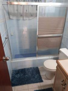 a bathroom with a shower with a toilet and a rug at Eden Place Apartments in Saint Johnʼs
