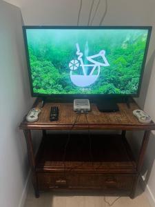 een televisie op een houten standaard met een aquarium bij Studio indépendant plein pied avec mezzanine in Joinville-le-Pont