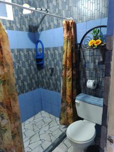 a bathroom with a toilet and a shower at Hotel Margarita Sierpe in Sierpe