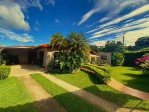 a house with a palm tree in the yard at Peace Garden Apartment in Monteverde Costa Rica