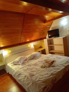 a bed in a room with a wooden ceiling at Pensiunea Tania in Ranca