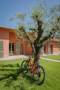 un vélo garé à côté d'un arbre dans l'herbe dans l'établissement Borgo Sant'Anna, à Bettona