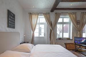 Schlafzimmer mit einem Bett, einem TV und Fenstern in der Unterkunft Lodge am Oxenweg in Husum
