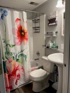 a bathroom with a toilet and a shower curtain at Anoka Apartments in Historical Victorian House in Anoka