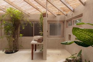 a greenhouse with plants and a bench in a room at La Fragata in Vichayito