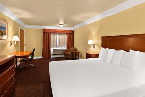Katil atau katil-katil dalam bilik di Best Western Willits Inn +19 gambar