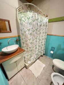 La salle de bains est pourvue d'un rideau de douche et de toilettes. dans l'établissement Alojamiento La Casita de Lunlunta, Maipú, Mendoza, à Maipú