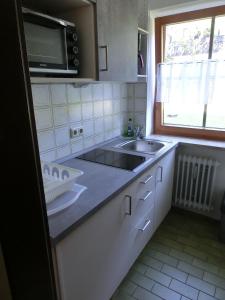 eine Küche mit einer Spüle und einer Mikrowelle in der Unterkunft Ferienwohnung Dillmann in Sachrang