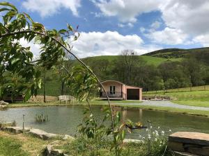 una cabaña en medio de un estanque con una casa en 1 Bed in Builth Wells BN089, en Garth