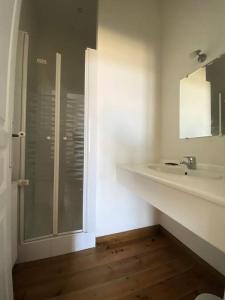 a bathroom with a shower and a sink at Résidence -pleneuf Val Andre - Maisons & Villas 694 in Pléneuf-Val-André