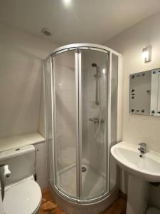 a bathroom with a shower and a toilet and a sink at Résidence -pleneuf Val Andre - Maisons & Villas 694 in Pléneuf-Val-André