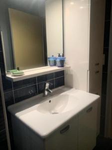 普萊納瓦昂德雷的住宿－Résidence -pleneuf Val Andre - Maisons & Villas 614，浴室设有白色水槽和镜子